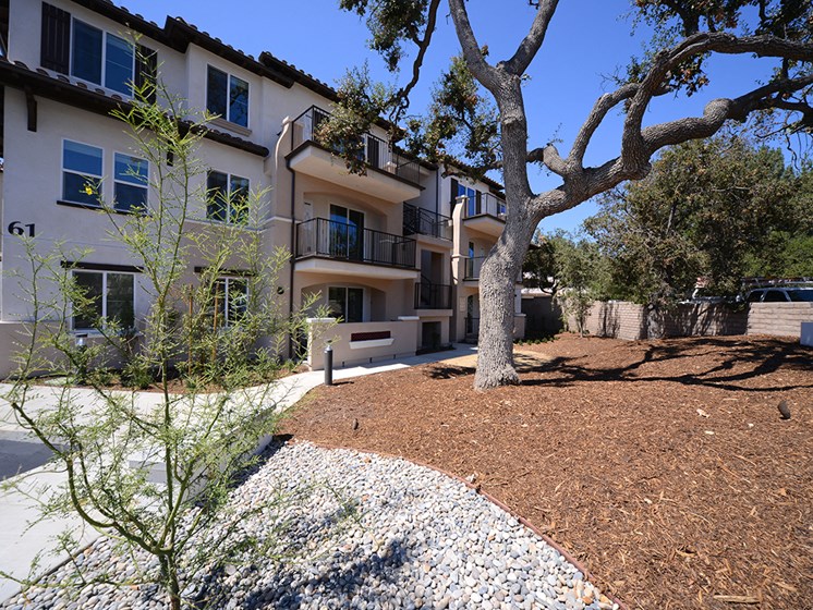Yolo Apartments Exterior Building Walkway and Tree Planter